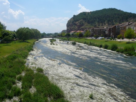 Rivière de fleurs blanches