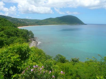 Plage de Deshaies