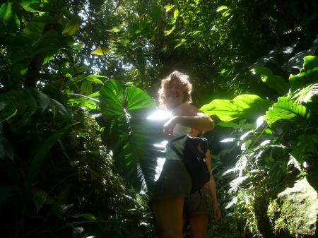 La belle dans la jungle
