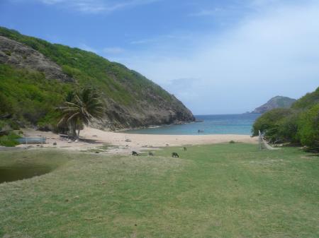 Plage des saintes