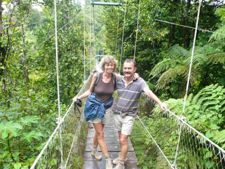 Pont sur forêt