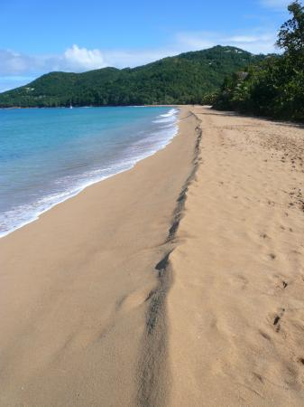 Plage de Deshaies