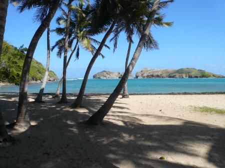 La plage de Dompierre presque vide