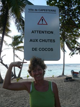 Attention coco