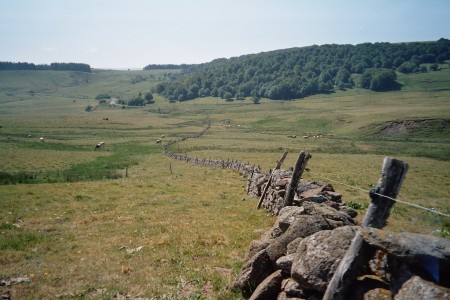 Plateau de l'Aubrac 2